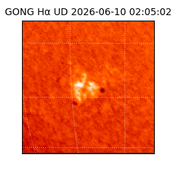 gong - 2026-06-10T02:05:02