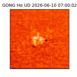 gong - 2026-06-10T07:00:02