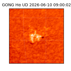gong - 2026-06-10T09:00:02