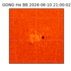 gong - 2026-06-10T21:00:02