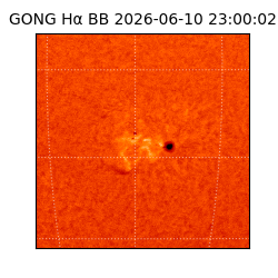 gong - 2026-06-10T23:00:02