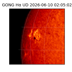gong - 2026-06-10T02:05:02
