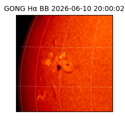 gong - 2026-06-10T20:00:02
