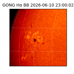 gong - 2026-06-10T23:00:02