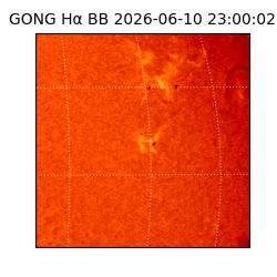 gong - 2026-06-10T23:00:02