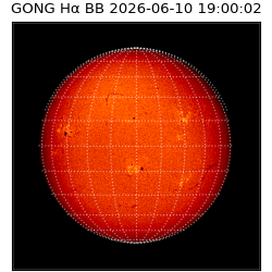gong - 2026-06-10T19:00:02