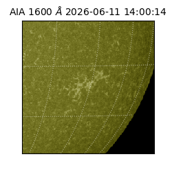 saia - 2026-06-11T14:00:14.124000