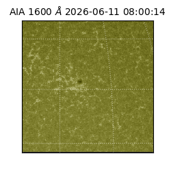 saia - 2026-06-11T08:00:14.123000
