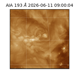 saia - 2026-06-11T09:00:04.842000