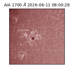 saia - 2026-06-11T08:00:28.717000