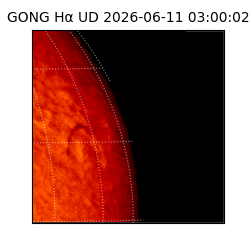 gong - 2026-06-11T03:00:02