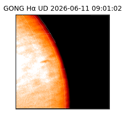 gong - 2026-06-11T09:01:02