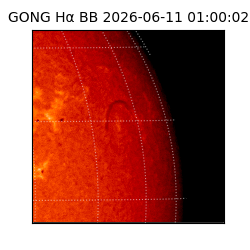 gong - 2026-06-11T01:00:02