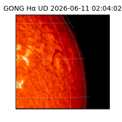 gong - 2026-06-11T02:04:02