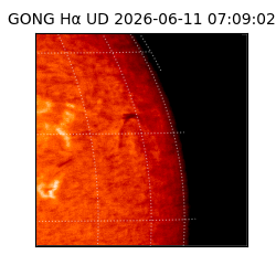 gong - 2026-06-11T07:09:02