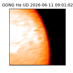 gong - 2026-06-11T09:01:02