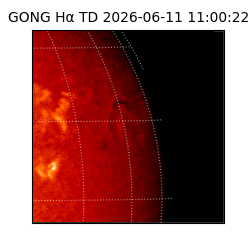 gong - 2026-06-11T11:00:22