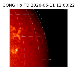 gong - 2026-06-11T12:00:22