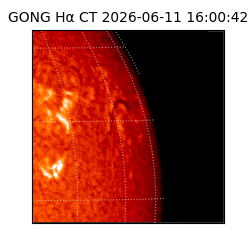 gong - 2026-06-11T16:00:42