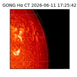 gong - 2026-06-11T17:25:42
