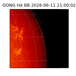gong - 2026-06-11T21:00:02