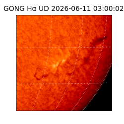 gong - 2026-06-11T03:00:02