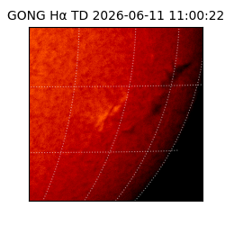 gong - 2026-06-11T11:00:22