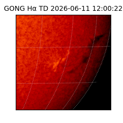 gong - 2026-06-11T12:00:22