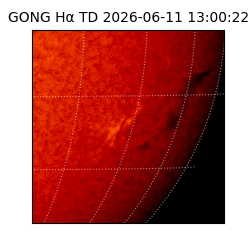 gong - 2026-06-11T13:00:22