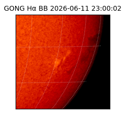 gong - 2026-06-11T23:00:02