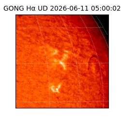 gong - 2026-06-11T05:00:02