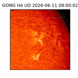 gong - 2026-06-11T08:00:02