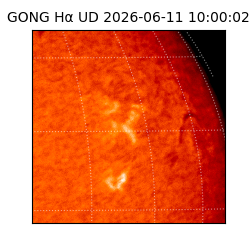 gong - 2026-06-11T10:00:02