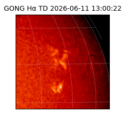 gong - 2026-06-11T13:00:22