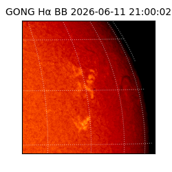 gong - 2026-06-11T21:00:02