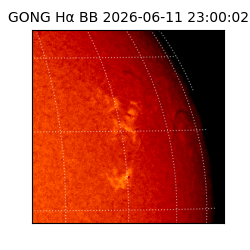 gong - 2026-06-11T23:00:02