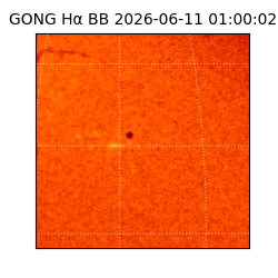 gong - 2026-06-11T01:00:02