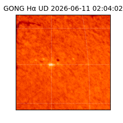 gong - 2026-06-11T02:04:02
