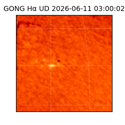 gong - 2026-06-11T03:00:02