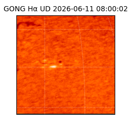 gong - 2026-06-11T08:00:02
