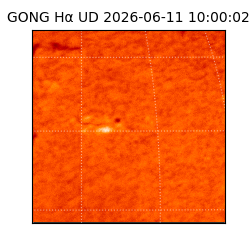 gong - 2026-06-11T10:00:02