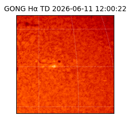 gong - 2026-06-11T12:00:22