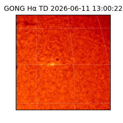 gong - 2026-06-11T13:00:22