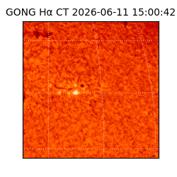 gong - 2026-06-11T15:00:42
