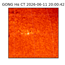 gong - 2026-06-11T20:00:42