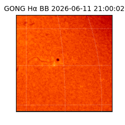 gong - 2026-06-11T21:00:02
