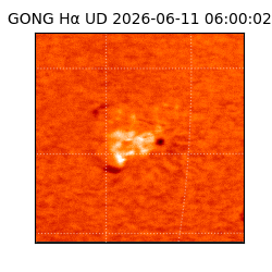 gong - 2026-06-11T06:00:02