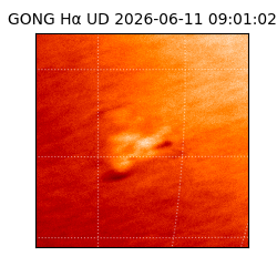 gong - 2026-06-11T09:01:02
