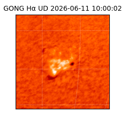 gong - 2026-06-11T10:00:02