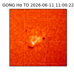 gong - 2026-06-11T11:00:22
